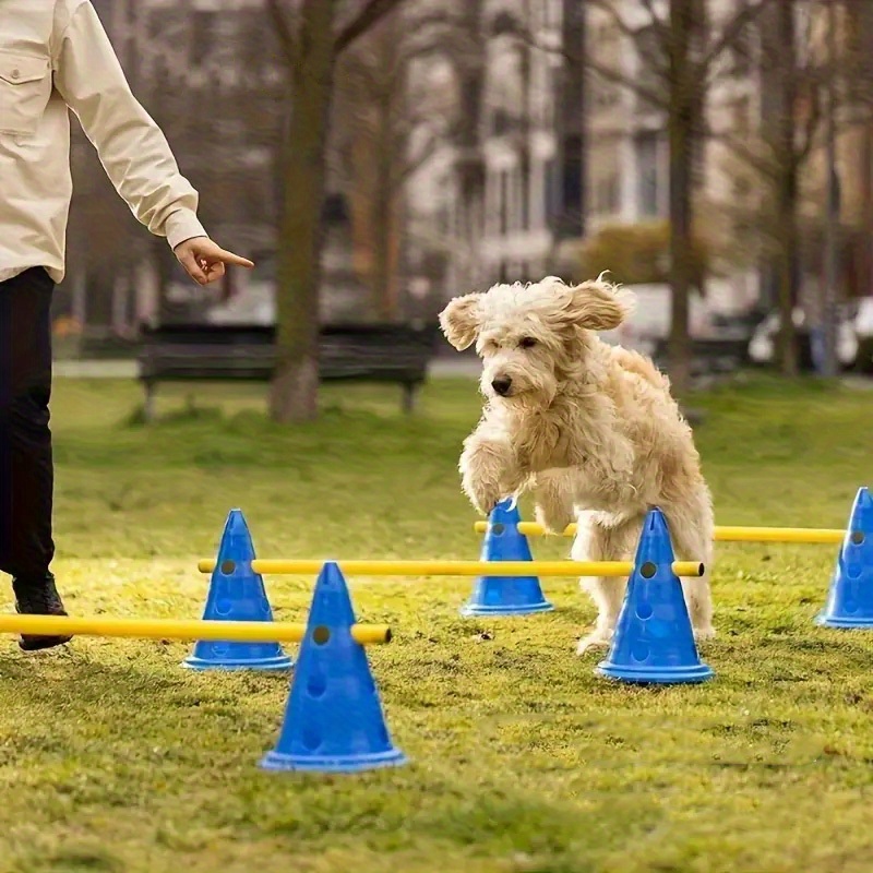 Dog Obstacle Course Backyard Pet Agility Training Equipment