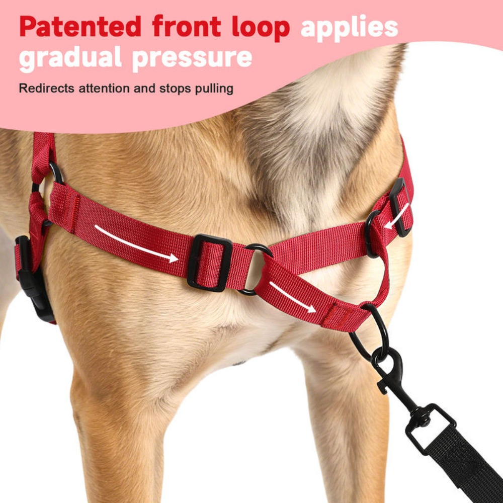 Customized Bone-Shaped Name Tag with Adjustable Nylon Leash