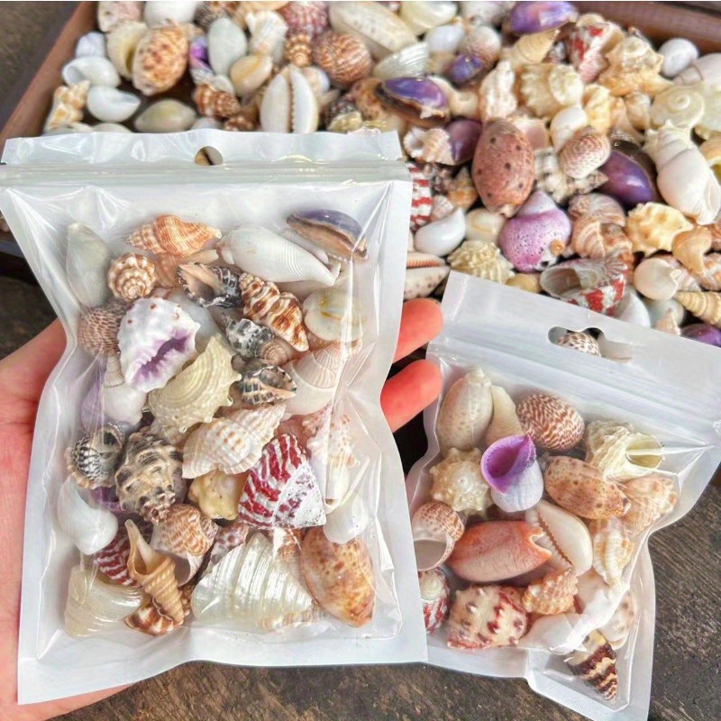 60g/120g 天然貝殻詰め合わせ、水族館用キラキラ貝殻砂、水槽用