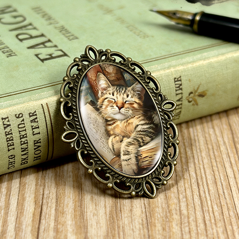 TEMU 1 pièce Broche Chat sur des Livres Peinture à l'Huile, Broches Ovales en Verre à Bordure en Dentelle, Accessoire pour Vêtements et Sac à Dos,