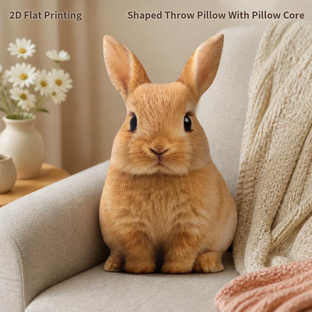 TEMU 1 pièce Coussin décoratif en peluche de lapin marron , impression 2D à plat, pour cadeau, chambre, canapé, salle, décoration de fête, 2D à plat