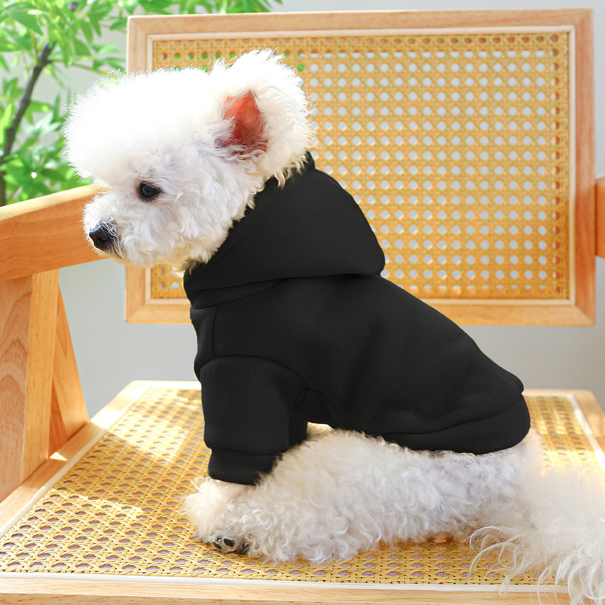 small dog hoodie winter warm pullover sweatshirt soft cozy black