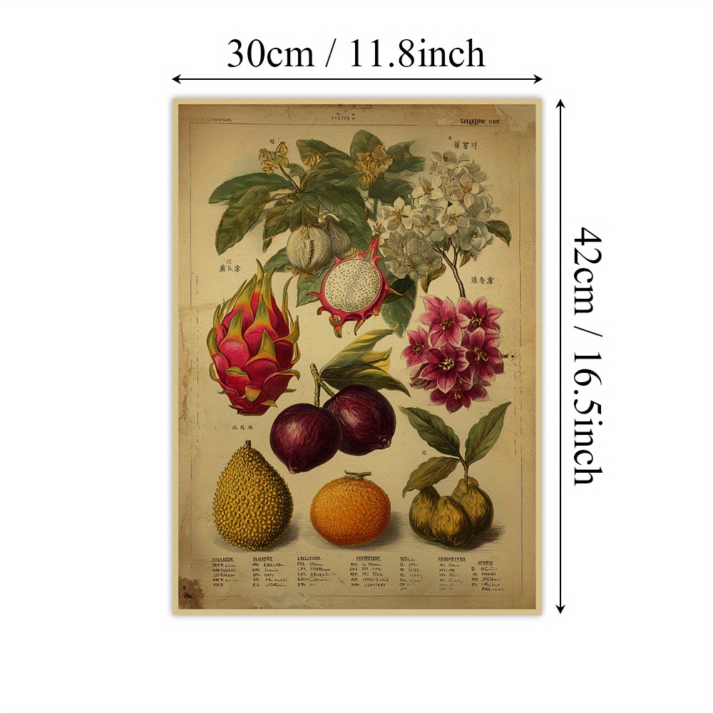 TEMU 1pc Vintage Botanical Wall Art Print - Exotic Tropical Pomegranate, Lychee, Rambutan & Hibiscus Illustration On Paper, Vertical Retro Poster For