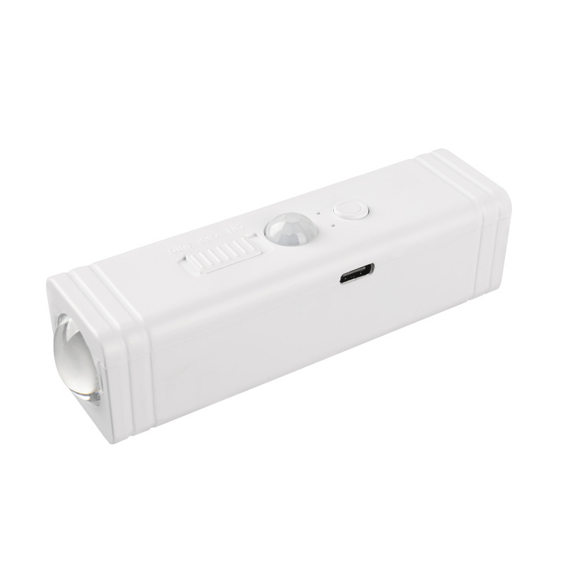 RGB Smart Motion Sensor Light with Dual-Head LED