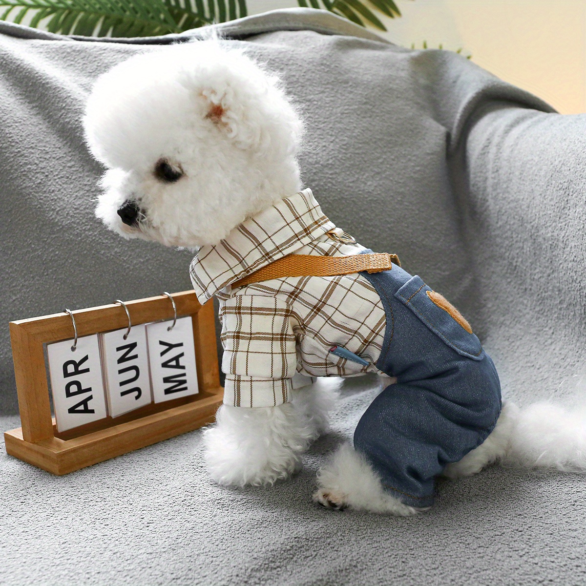 

Chic Denim Overalls For Small Dogs - With , Closure