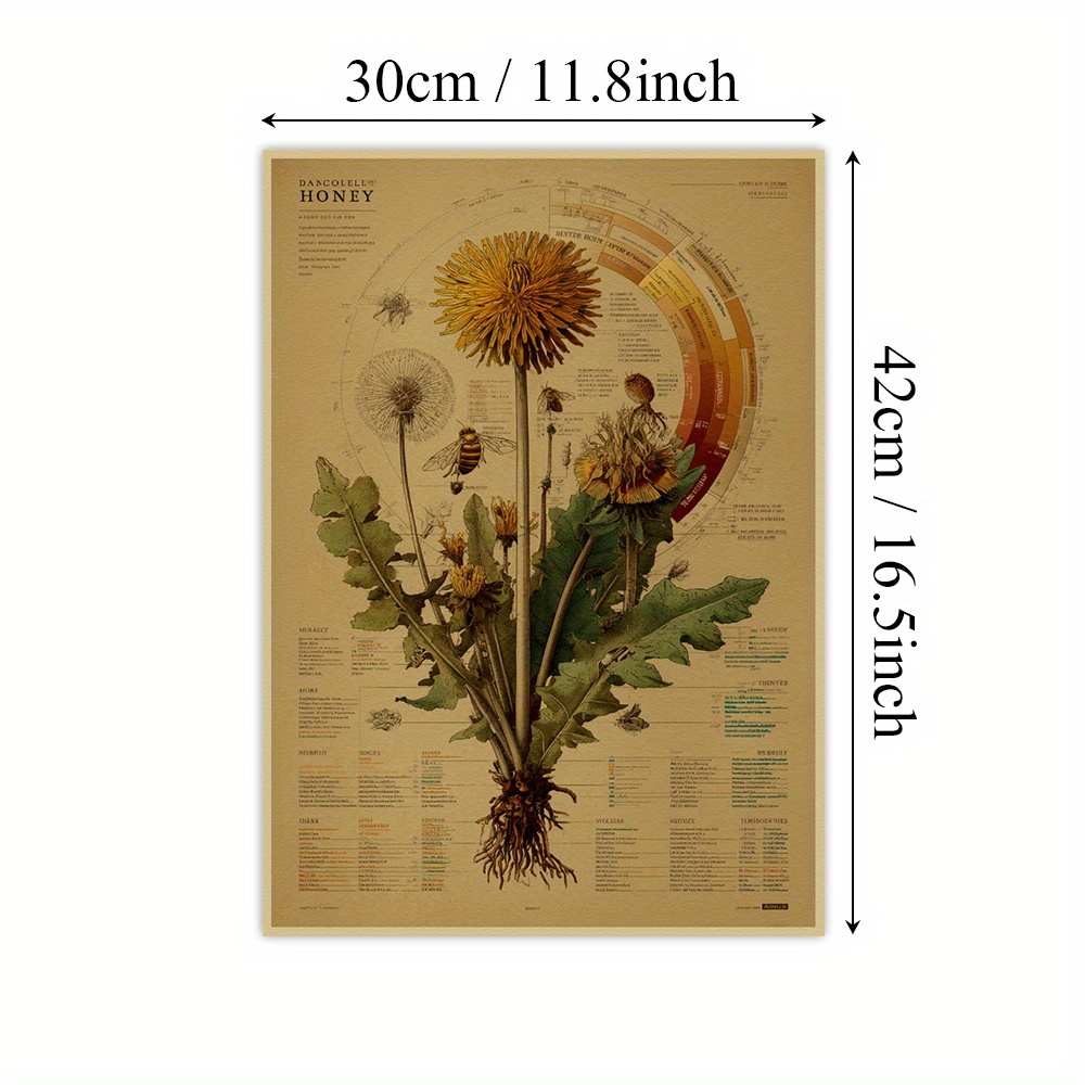 TEMU 2d Flat, 2d Flat, 1pc Paper Poster Featuring Botanical Art, A Detailed Diagram Painting, Educational Content Prints, And Decor . This