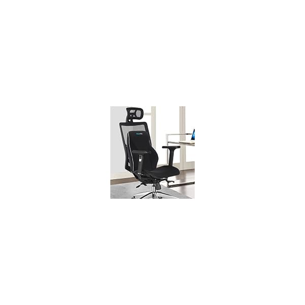 ergonomic lumbar support pillow for office chair & car - posture-  back cushion with spinal  , lower back relief, desk, gaming chair - non-slip base, no power needed - ideal for home, office, travel - black, backrest pillow, contoured design, durable construction, home users, hand wash only, office workers Product details 3