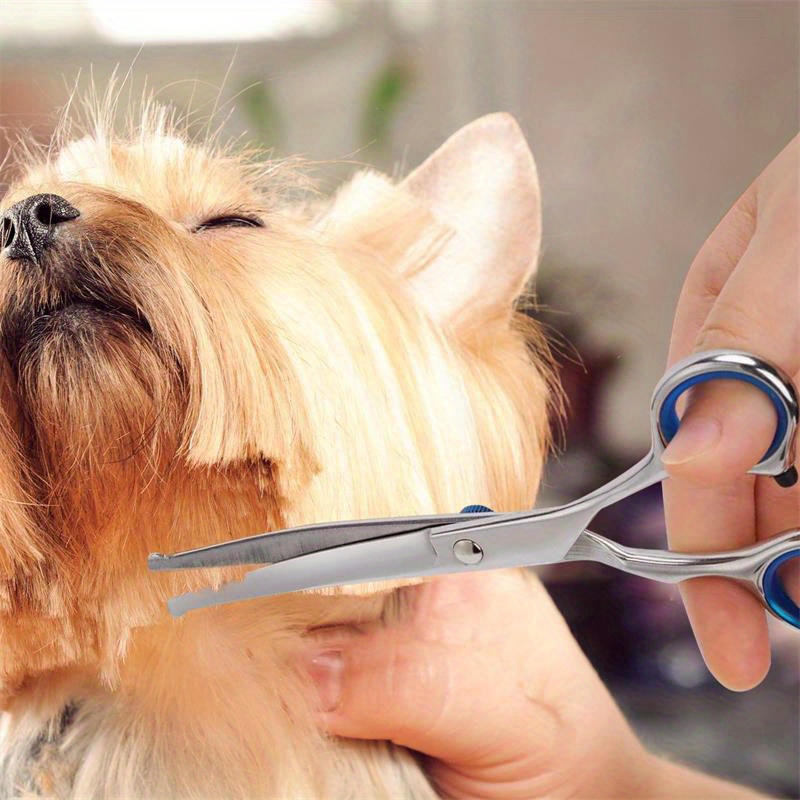 professional pet grooming scissors with rounded safety tips lightweight design made of 4cr stainless steel ideal for trimming nose ear face and paw hair for   dogs and cats Product details 6