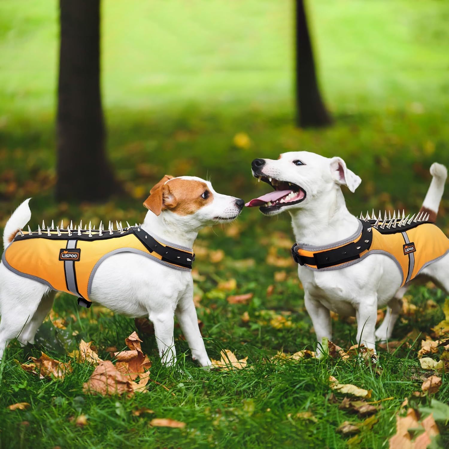 Spike Coyote Protection Vest Dogs Small Dog Vest With Spikes