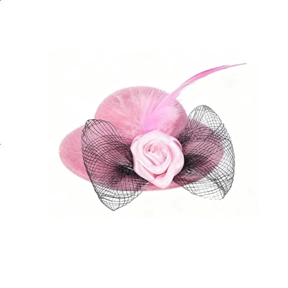 TEMU Chapeau pour animaux de compagnie, petit harnais pour animaux, peigne pour animaux, accessoire pour cheveux, chapeau, corde élastique, petit