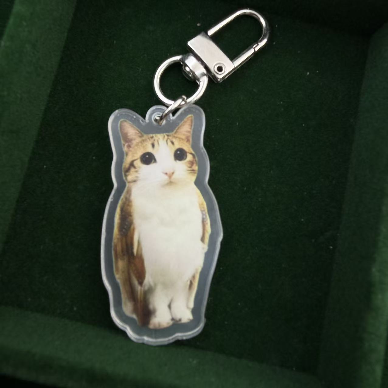 Funny Standing Meme Cat Acrylic Keychain, Cute Bag Charm
