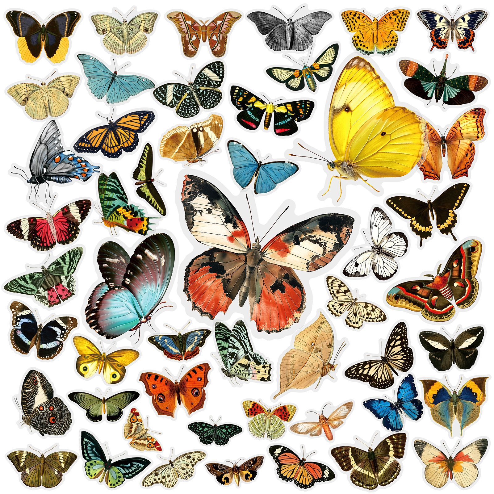 TEMU 50pcs Retro Transparent Pet Stickers, Office Supplies And Notebook Additions, Suitable For Scrapbooks, Diaries, Laptops, Water Bottles, Cars,
