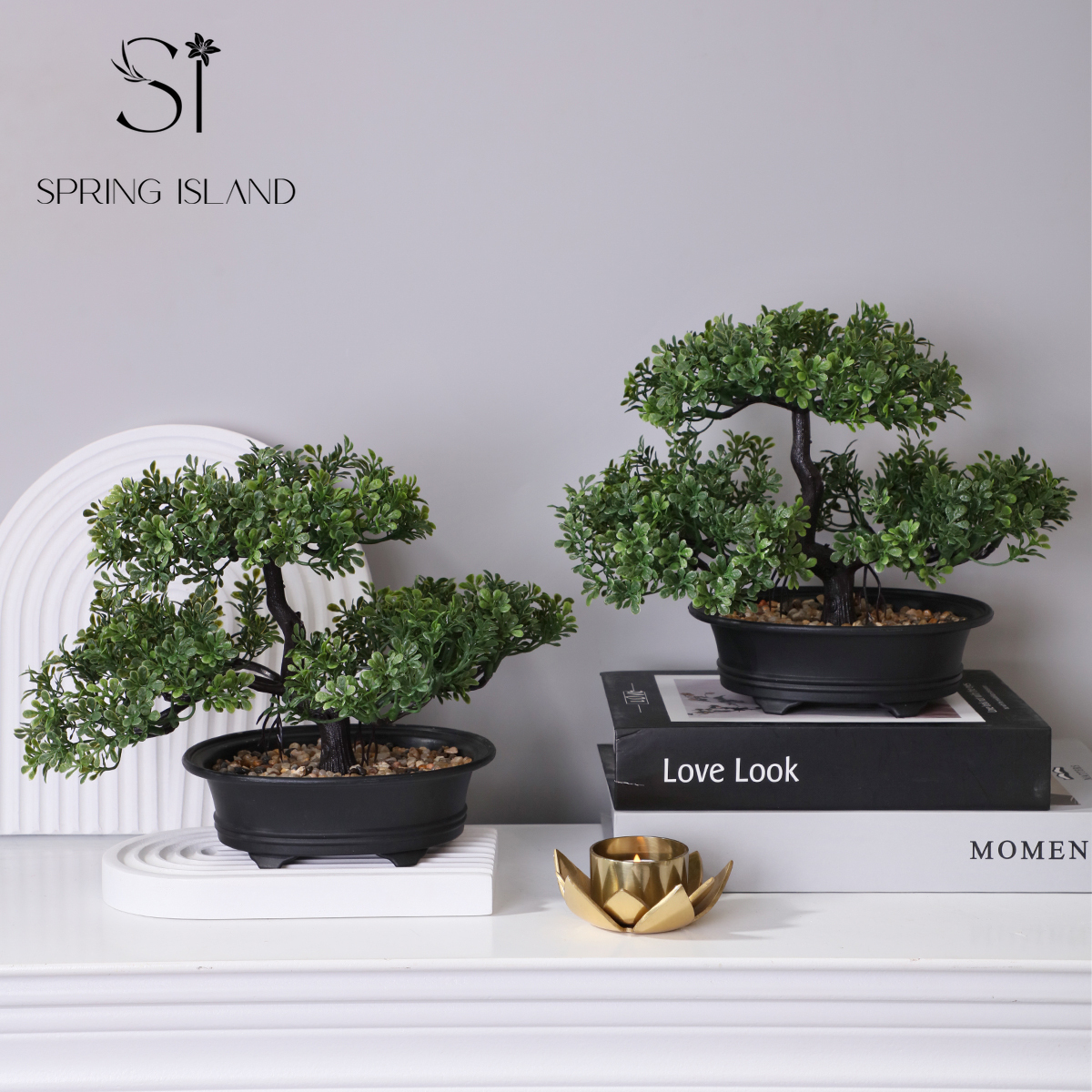 bonsai - United Kingdom
