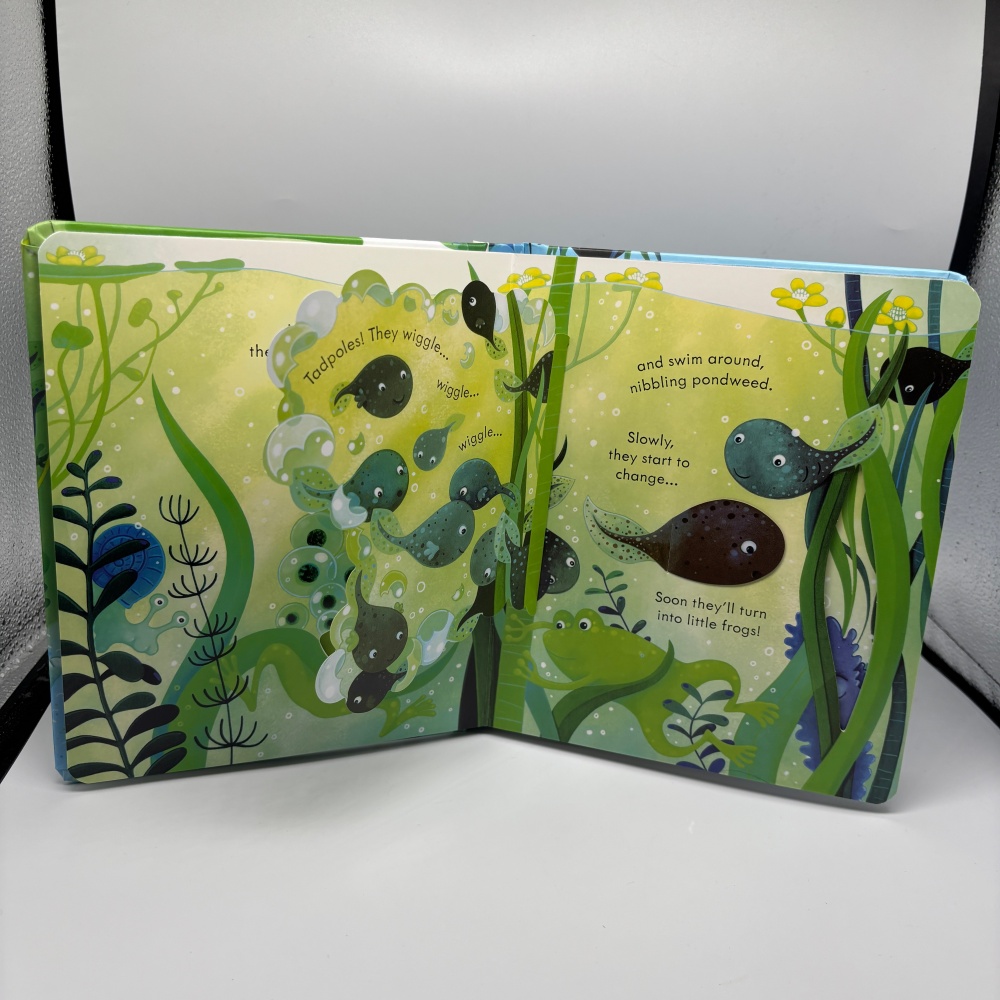 Durable Pop-Ups Learning Material for Family Reading