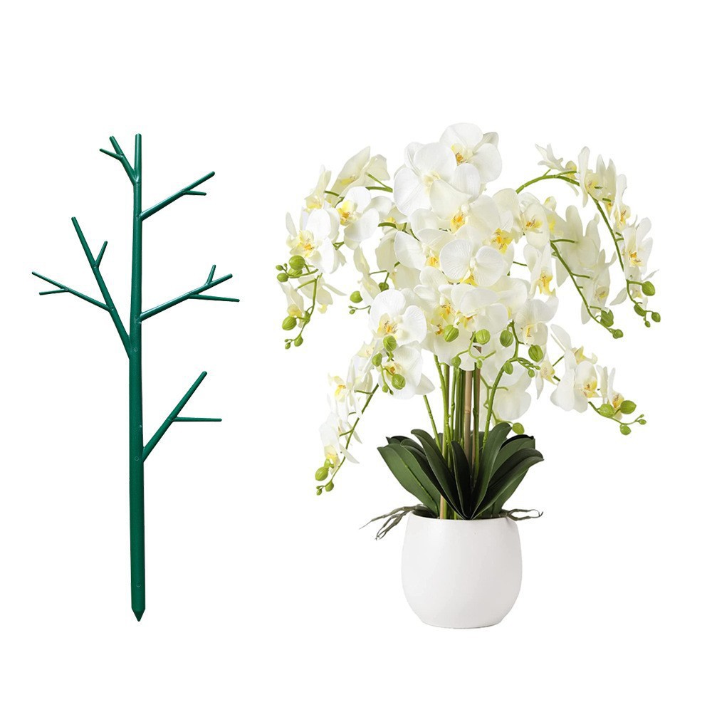 TEMU Barra de soporte para orquídeas y plantas en , abrazadera de verde para plantas de interior, estante de soporte para arreglos florales de