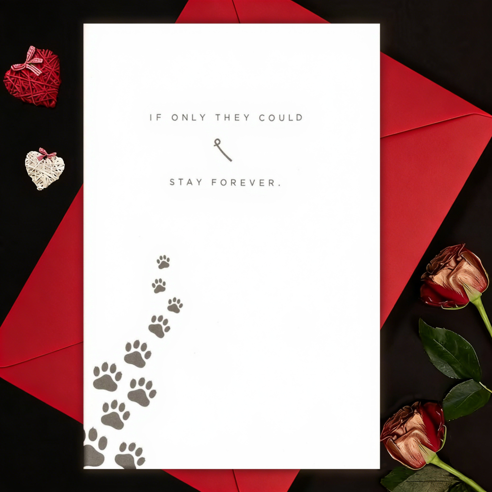 TEMU 1pc Greeting Card And 1pc Envelope. 2d Flat 1pc Easy Paw Print Greeting Card, For Pet Loss Condolence And Memorial Farewell Card, Emotional
