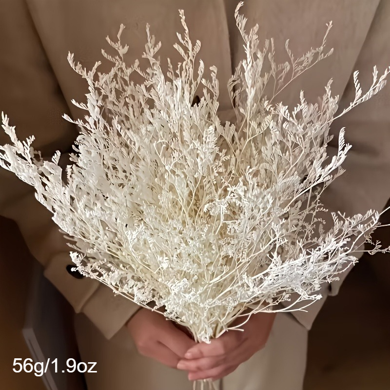 Set Of Preserved White Grass & Sea Lavender Pampas Grass Bundles - Suitable For Boho Wedding Centerpieces, Table Decor, Arrangements, Stems For Home, Birthday, Engagement, Ramadan/ Decorations
