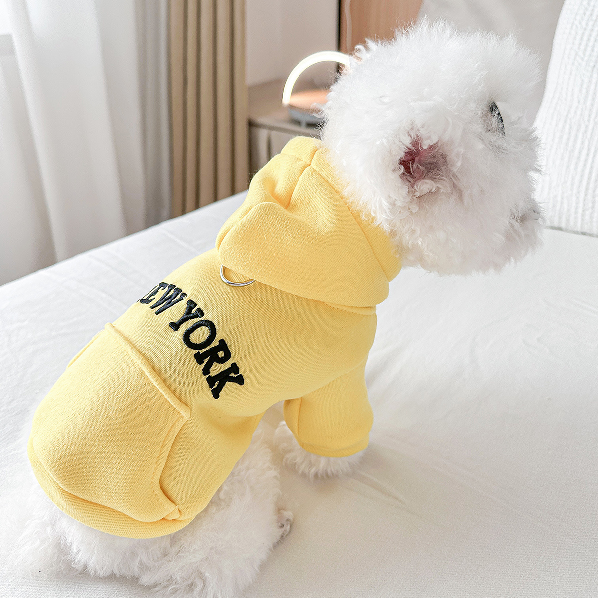 chaqueta capucha perros pequeños abrigo Temu Dominican Republic