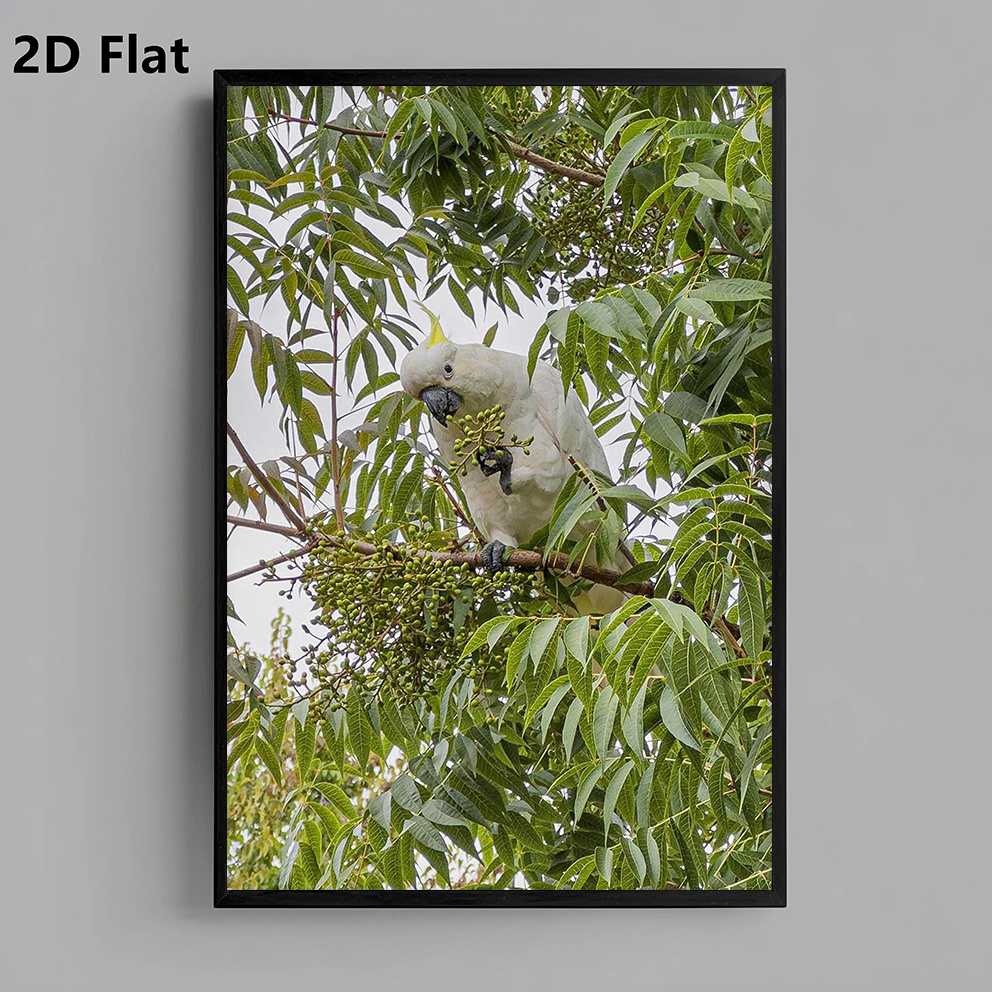 item picture 2d flat 2d flat 1pc frameless multi size canvas painting parrot on tree photography wall decor