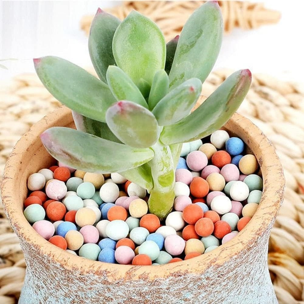natrliche bunte kugeln 2lbs pflanzen blhton - Temu Switzerland