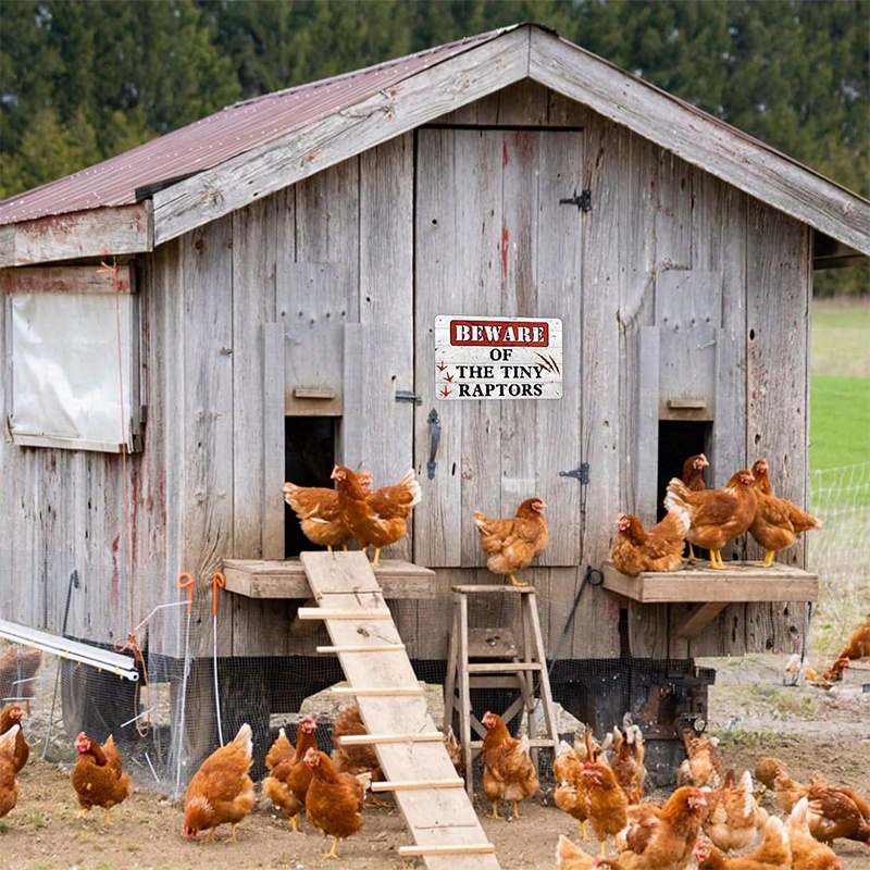 Aluminium-Warnschild 'Beware Of Chicken' – 30,5x40,6 Cm, Wetterfest, Mit Befestigungslöchern, Für Hühnerstall & Garten