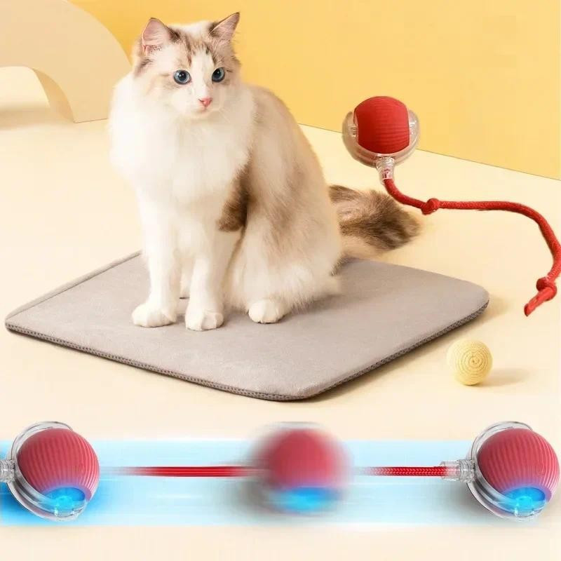 

Interactive Cat Ball, Anti Bite Automatic Cat Teasing Ball, 360 ° Intelligent Automatic Ball, Interactive Cat Ball Toy, Interactive Dog Intelligent Ball Toy