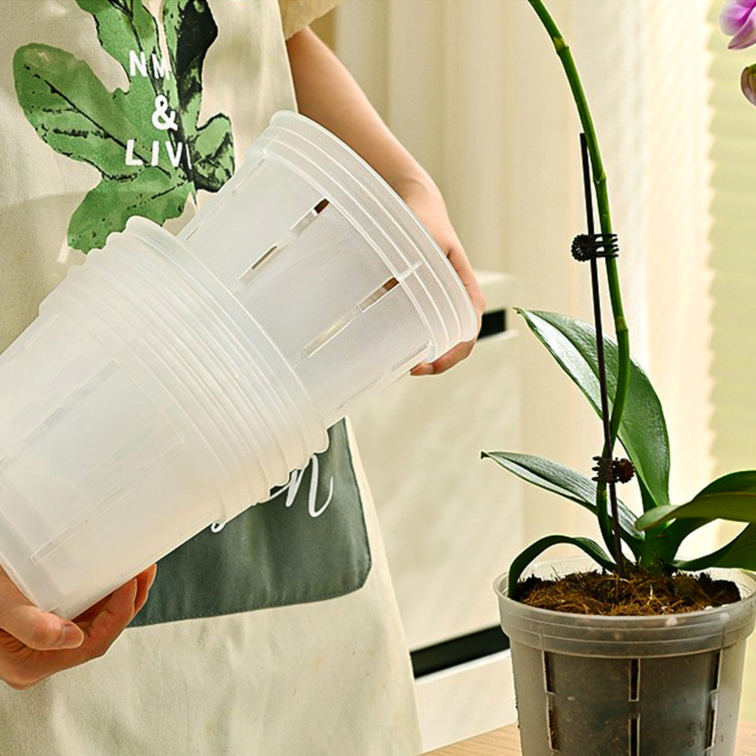 10pcs transparent plastic plant pots aerating drainage holes - Temu  Mauritius