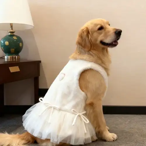 dog dress for large dogs sold on Temu United States dog dress for large dogs sold on Temu United States