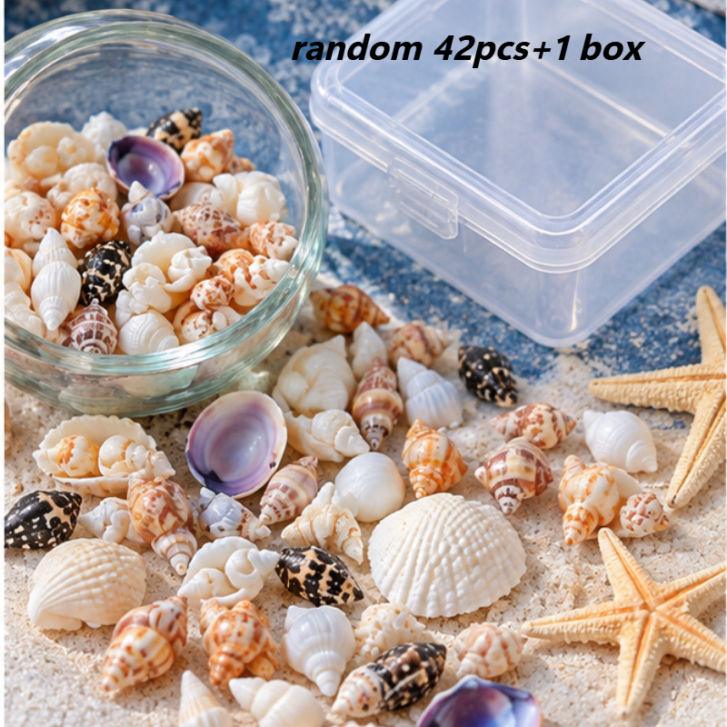 TEMU Random 42pcs (box) Mixed Seashells, Suitable For Shell Decoration Additions For Craft Enthusiasts, Aquarium Substrate Filling Decoration And