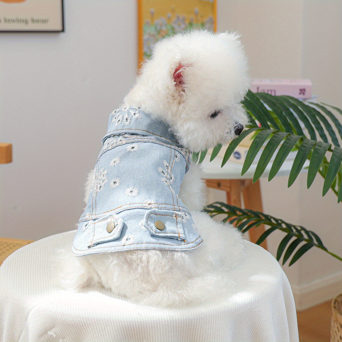 ropa mascotas perro gato pequeños Temu Argentina