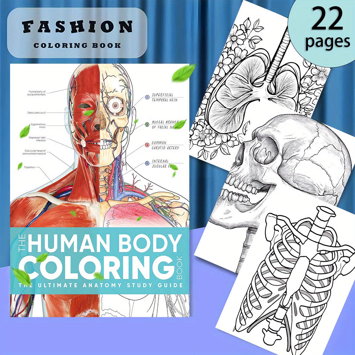 

Deluxe Human Anatomy Coloring Book - 22 Pages, Unique Cover Design For | Ideal Gift For Teens & Adults On Valentine's, Christmas, Halloween, New Year & More, Room Decor