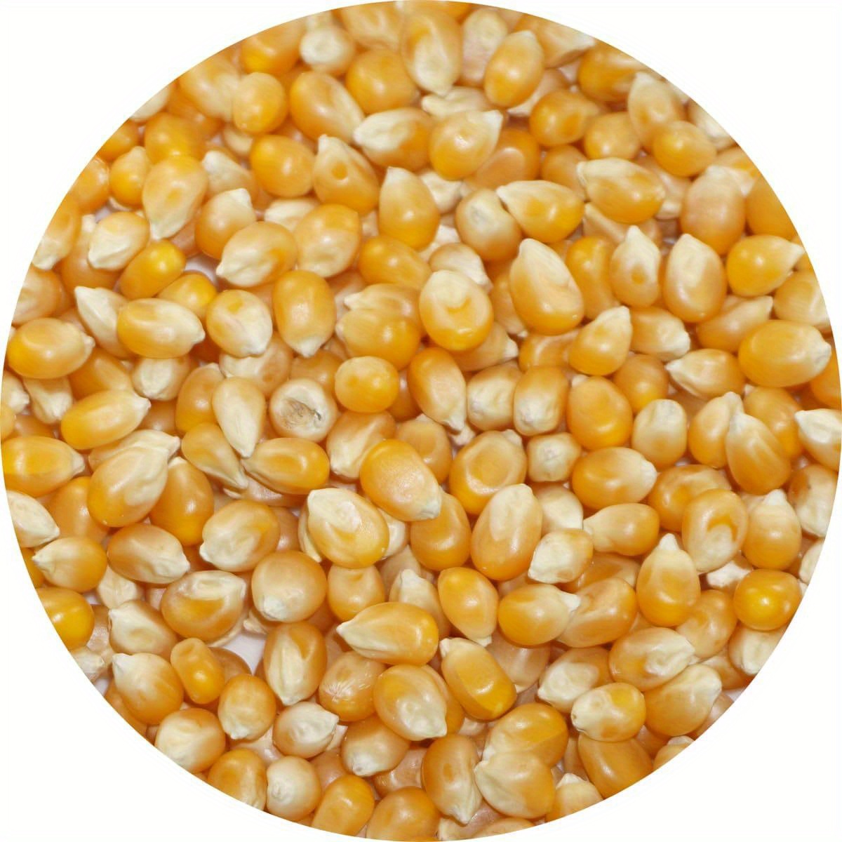 TEMU Ameyoko Otsuya Heavy- Popcorn Seeds - (500g) - - For Home, , Parties, Gardening - Japanese Kitchen Essentials, Gardening Supplies, , , Corn ,