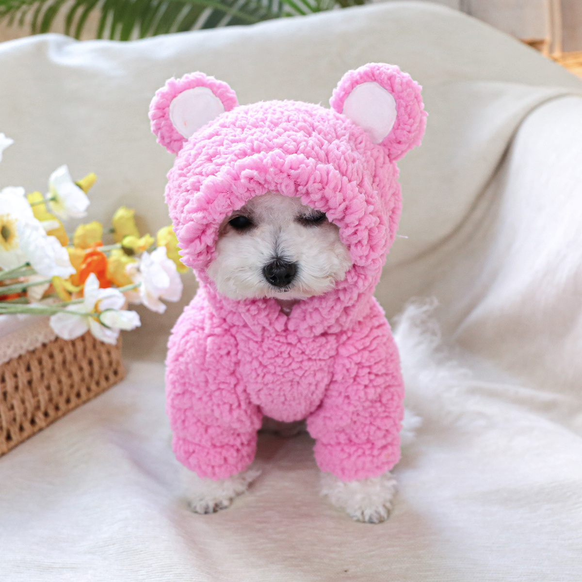 Cute Pink Bear Cat Costume Short Sleeve Hoodie Sweater Jacket for  Small Breeds, Chihuahua Pomeranian Shih Tzu, Warm Cozy Outfit with Eas