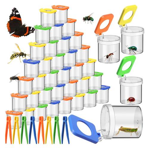 4pcs and nature exploration kit magnifying glass tweezers insect box insect trap container kit science and nature exploration tools party gift birthday gift random color