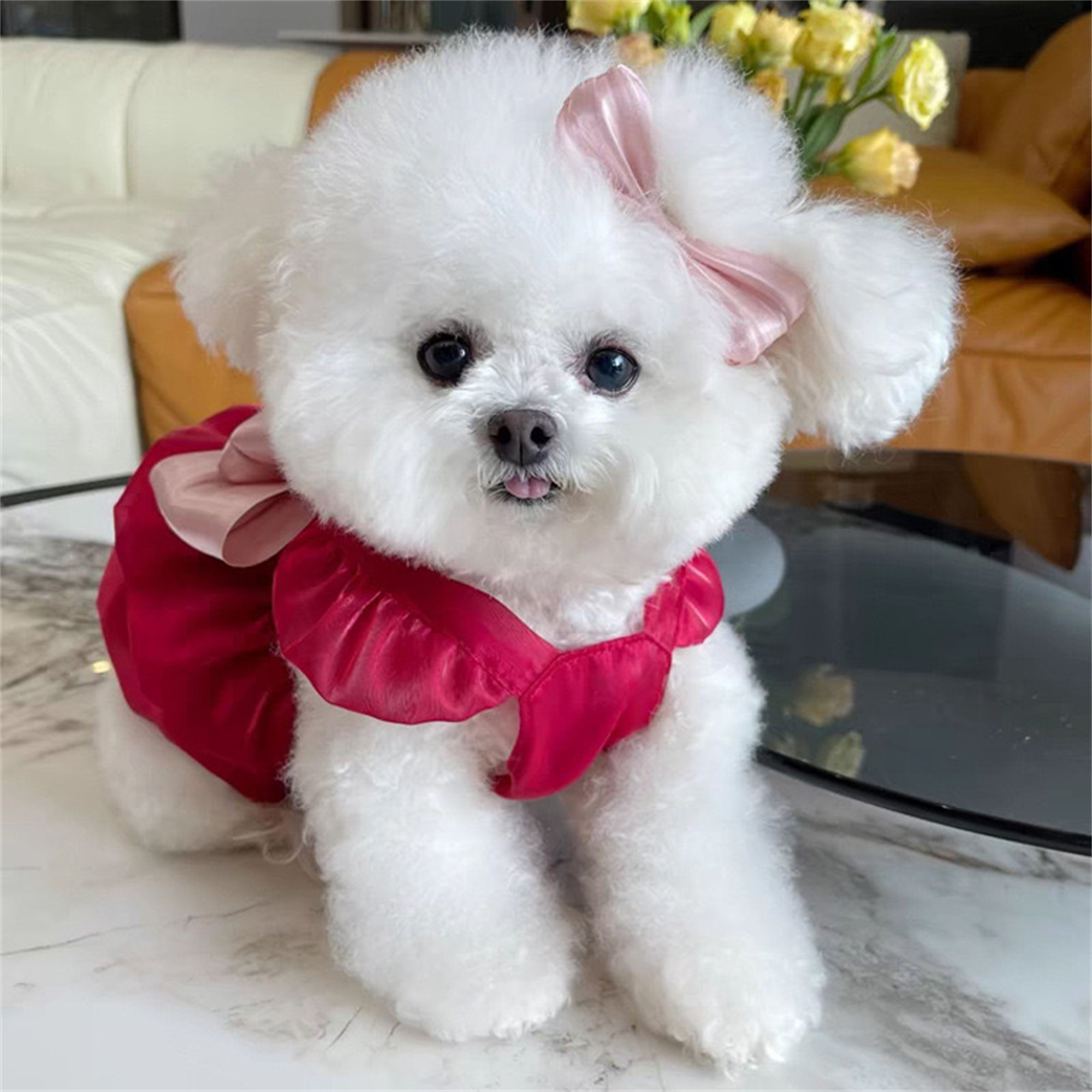 dog dress small dogs girl summer clothes outfit apparel - Temu