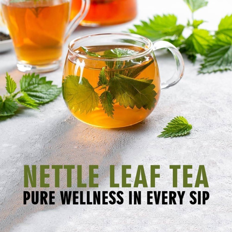 100 g Nettle Leaf Tea | Loose Cut Sifted for Fresh Herbal Infusions, Dried Urtica dioica Leaf by Herbals