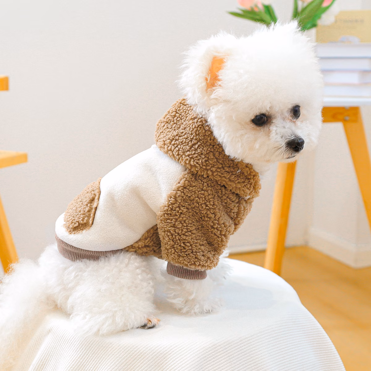 pet clothes kitten puppy outfit korean style hoodie hooded sweatshirt jacket home and outdoor dual use apparel Product details 3
