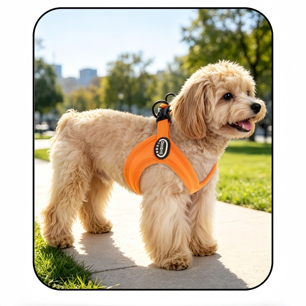 2pcs Adjustable Pet Chest Strap & Leash Set for Outdoor Activities