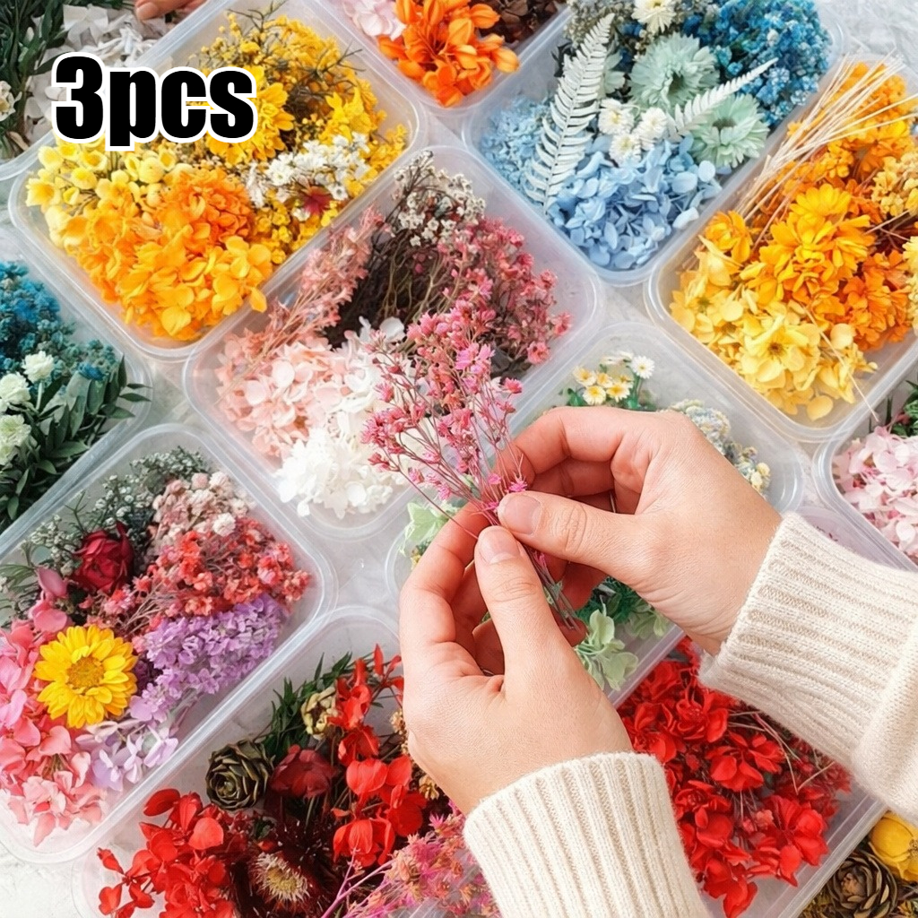 E-shop 3 Dosen Trockenblumensträuße - Unsterbliche Pflanzen-Blumenarrangements, geeignet für Scrapbooking, Hochzeitsdeko, Tischdekoration, Basteln -