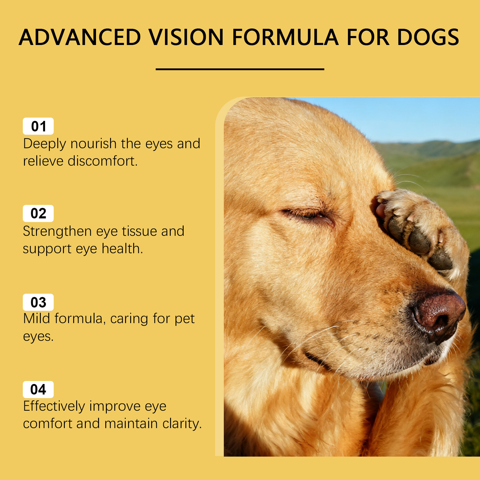 YEGBONG Advanced Vision Formula for Dogs, Improve Eye Clarity, Plant Extracts Eye Care Drops, Non-Irritating Gentle Formula, Supports Canine Eye Health & Visual Function, Daily Eye Care for All Dog Breeds, 30ML/1FL.OZ - Image 5