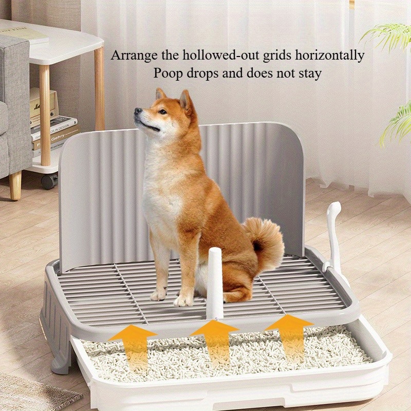 Easiest Small Dog to Potty Train: Discover Top Breeds