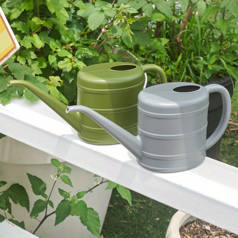 ufopflanze gießen Ufopflanze (Pilea peperomioides) kaufen