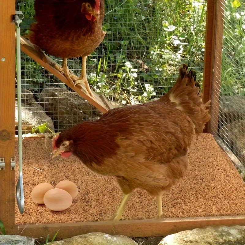 TEMU Chicken Coop Mat - (10 Inch) Absorbent Poultry Litter With Non-slip Easy Clean Layer - For Laying Hens, Chicken Coop, Farm Or Backyard - Durable Farm Use, Hen Nesting Material