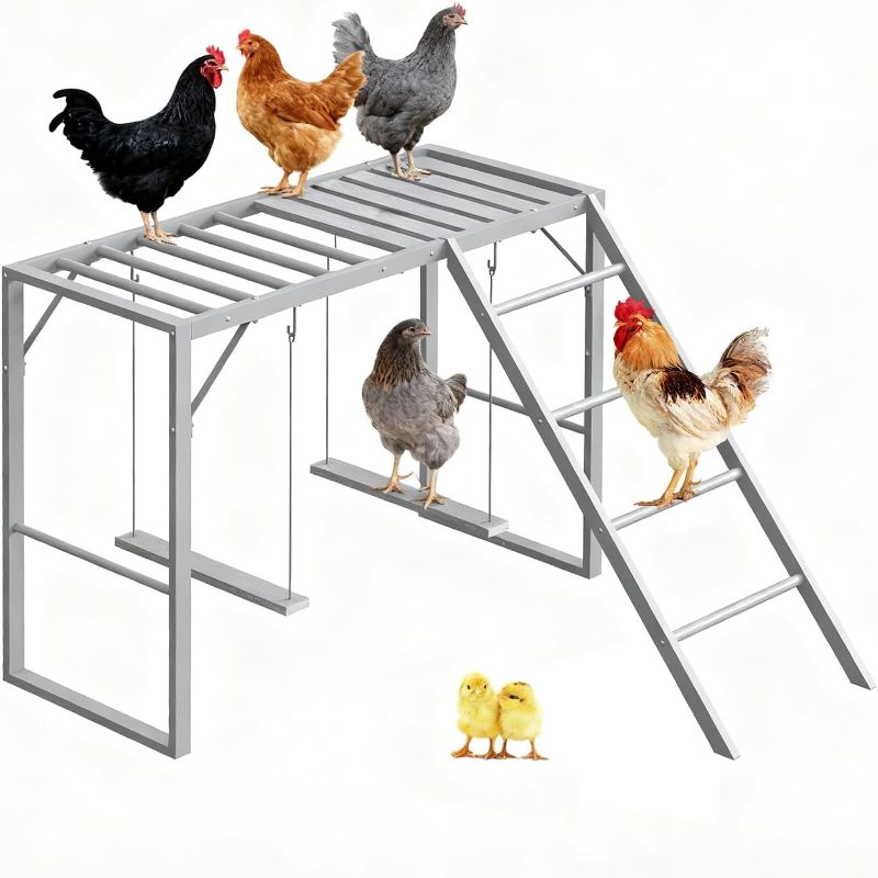 YBING Large Chicken Perch Coop, Chicken Perch Swing with Ladder, Chicken Roosting Bars Coop, Chicken Perch Roosting Bars, Metal Pet Swing Set Pet's Healthy Happy 8-10 Chick,