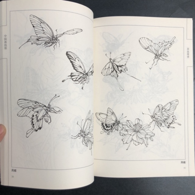 Chinese Line Drawing Grasshopper Painting Book: Beginner's Guide to Traditional Chinese Art, Sketching for Relax - DIY Coloring Book for Teens and Adults, Watercolor, Ink Wash, Oil Painting Chinese Version