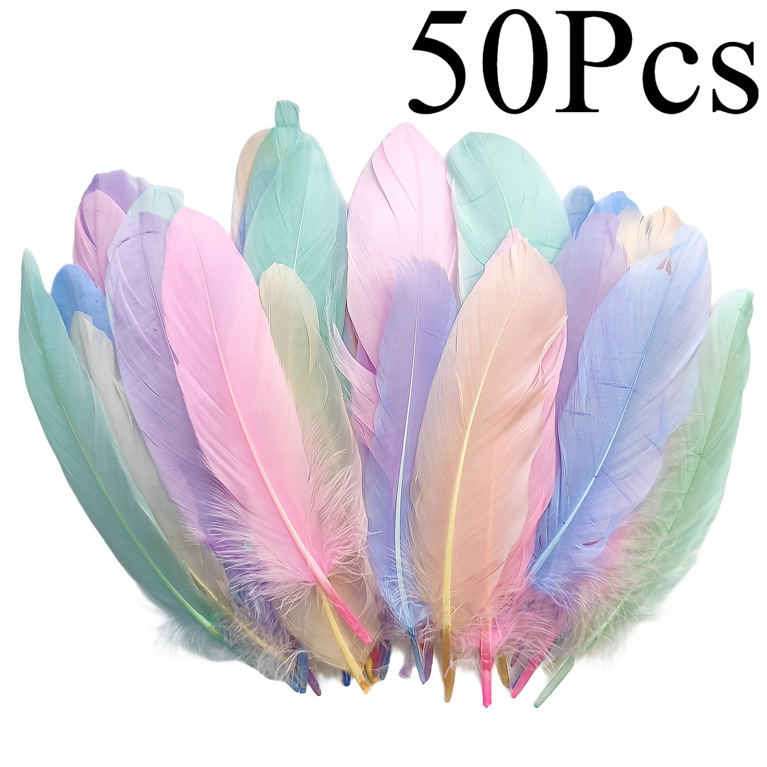 TEMU A Set Of 50 Assorted - Premium Feathers Are Perfect For Dreamcatchers, Fashion Additions, Earrings, Home Decorations, And . Are Great For