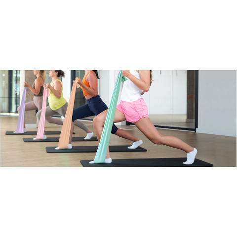 Stretch Bands for Exercise, 5 Levels Resistance Bands for Working Out, Exercise Bands for Physical Relax, Pilates, Rehab, Stretch, Strength Training And Yoga Starter Set
