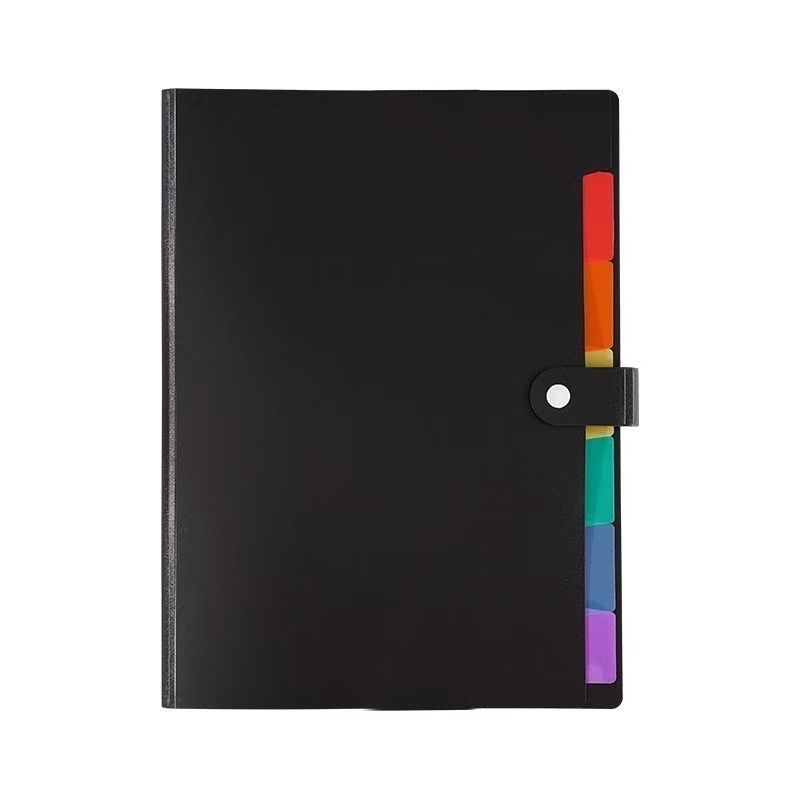 TEMU 1pc File Organizer, Document/receipt Organizer Folder (a4/letter Size), Expandable Plastic File Box, Standing File Organizer For Office, School,