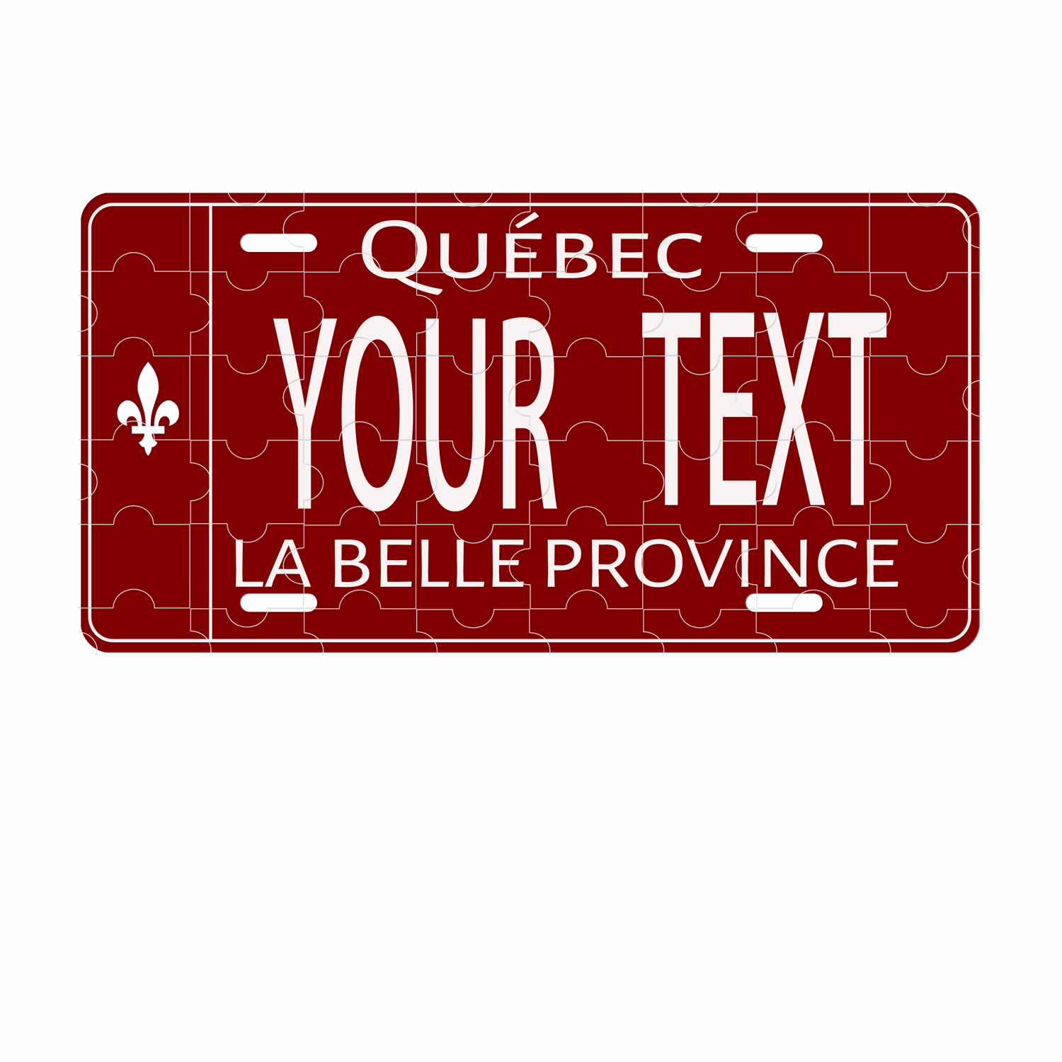 Customizable Stainless Steel Quebec License Plate - 6x12