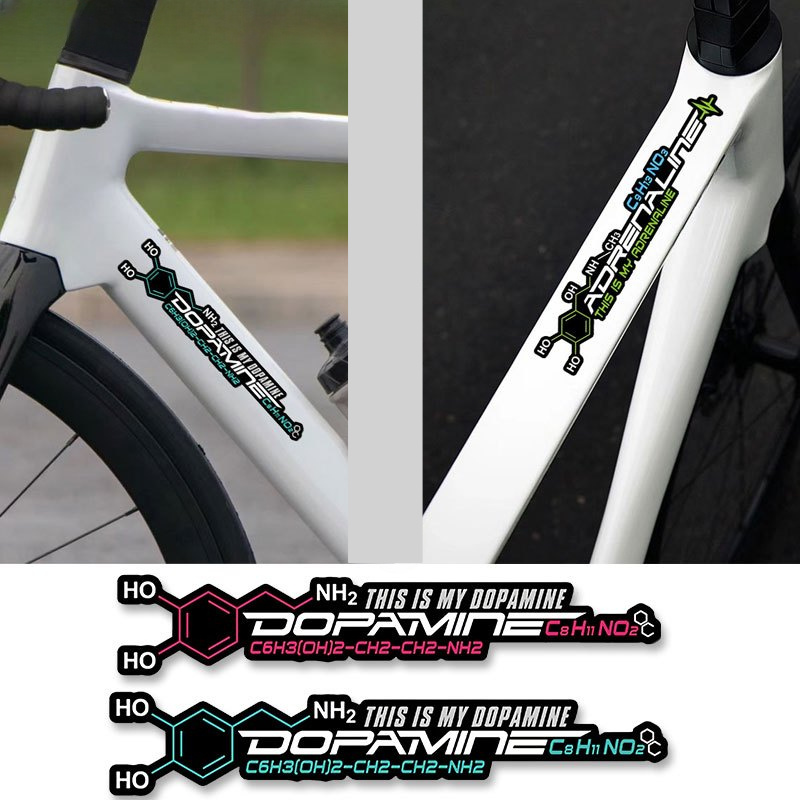 dopamine bicycle stickers suitable Temu South Africa